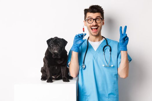 Handsome doctor veterinarian holding syringe and standing near cute black pug, vaccinating dog, white background.