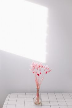 Still life of pink dry lagurus flowers on white background with copy space.