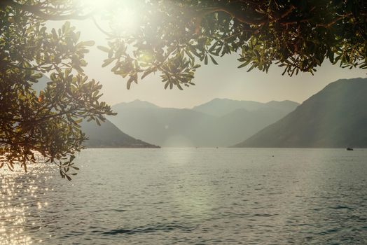 Sunset, beautiful landscape with silhouettes of trees. Travel concept. Montenegro, Kotor Bay. Sunset at Kotor Bay Montenegro. View of the sunset in Boko-Kotor Bay in Montenegro. Silhouettes of mountains. High quality photo