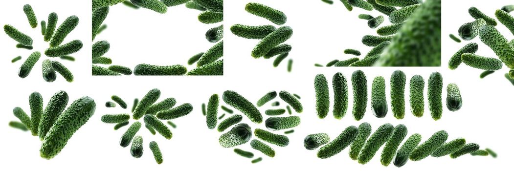 A set of photos. Green cucumbers levitate on a white background.