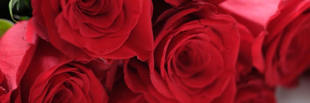 Closeup of large bouquet of red roses background. Flower delivery concept