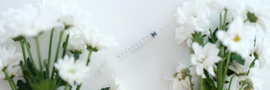 Two branches of white chrysanthemums in middle of syringe with needle. Scientific medicine injection medicine and rejuvenation in cosmetology concept