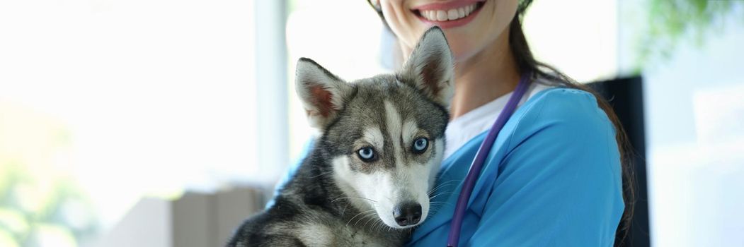 Young smiling veterinarian holds dog in arms. Veterinary medical services concept