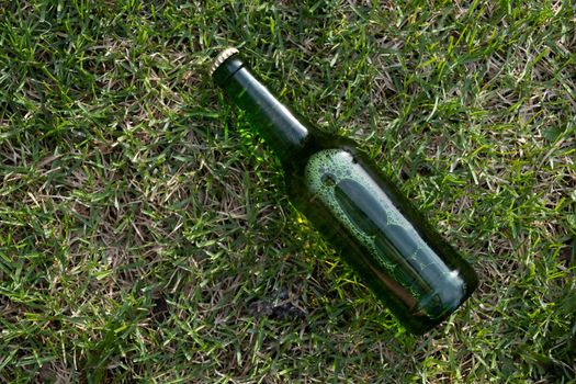 Green glass bottle of beer on the grass.
