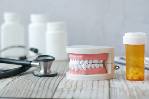 plastic dental teeth model on white background .