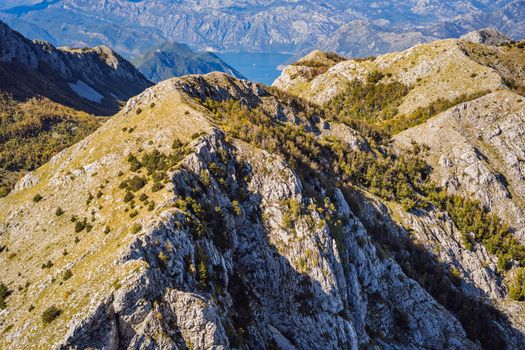 Summer mountain landscape at national park Lovcen, Montenegro. Sunny summer day.