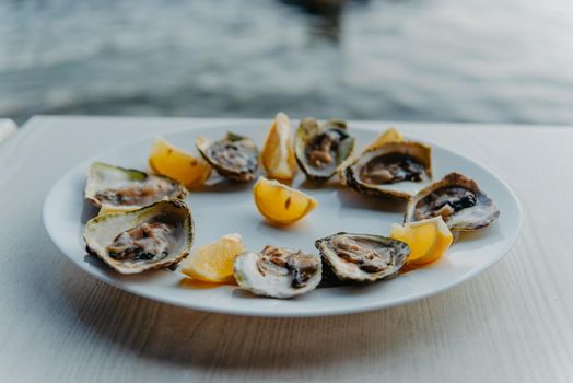 Fresh oysters with lime on a round plate. Oyster season. Macro-seafood dish. Oyster on the half shell.Two varieties of oysters.Out of focus. White plate of fresh oyster on ice and piece of lemon on wooden table