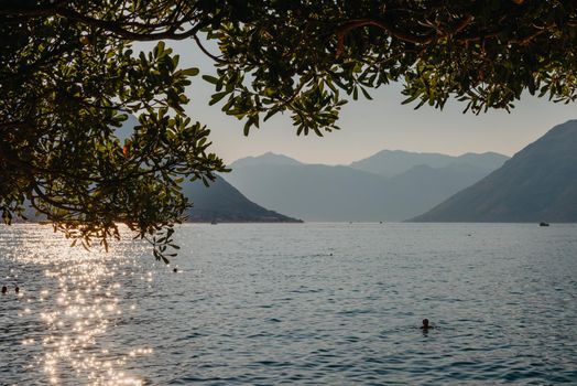 Sunset, beautiful landscape with silhouettes of trees. Travel concept. Montenegro, Kotor Bay. Sunset at Kotor Bay Montenegro. View of the sunset in Boko-Kotor Bay in Montenegro. Silhouettes of mountains. High quality photo