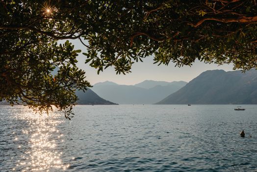 Sunset, beautiful landscape with silhouettes of trees. Travel concept. Montenegro, Kotor Bay. Sunset at Kotor Bay Montenegro. View of the sunset in Boko-Kotor Bay in Montenegro. Silhouettes of mountains. High quality photo