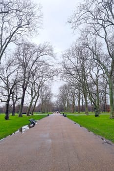 View of the green park on a cloudy winter day