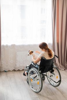 Caucasian woman in wheelchair holding jack russell terrier dog in front of window