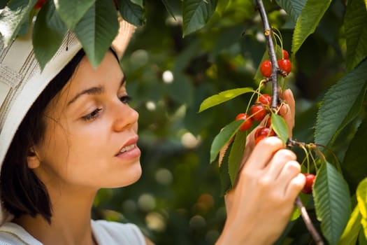 A young girl in a hat holds a branch with juicy ripe red cherry fruits in the garden on a sunny summer day, the woman is harvesting.