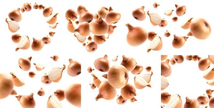 A set of photos. Ripe Golden onion levitates on a white background.