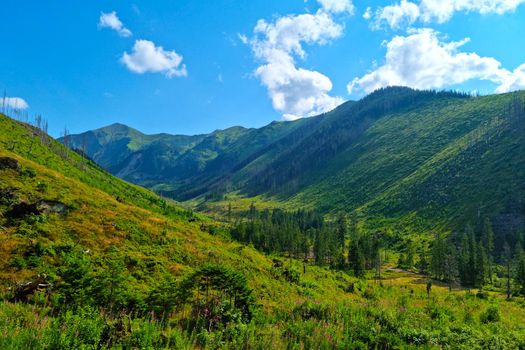 Beautiful green picturesque valley in the mountains. Nature background