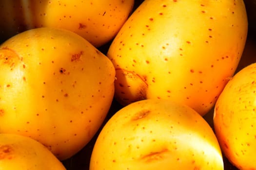 Beautiful yellow young potato. Tasty food. Boiled food