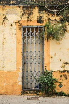 Door with geometric metal lattice on chipped facade with hanging plants