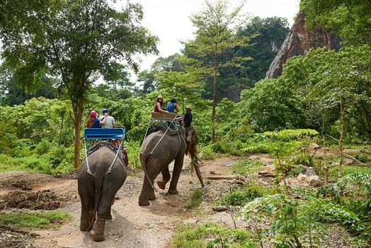 Shot of tourists on an elephant ride through a tropical rainforest.