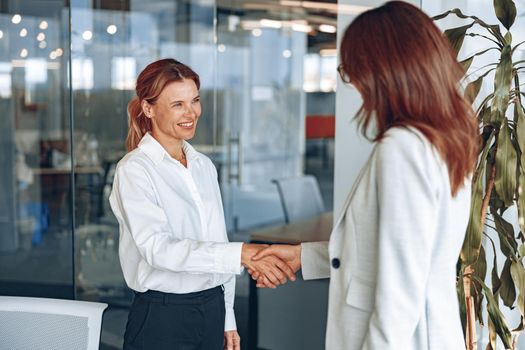 Business people handshake in corporate office showing professional agreement in modern office