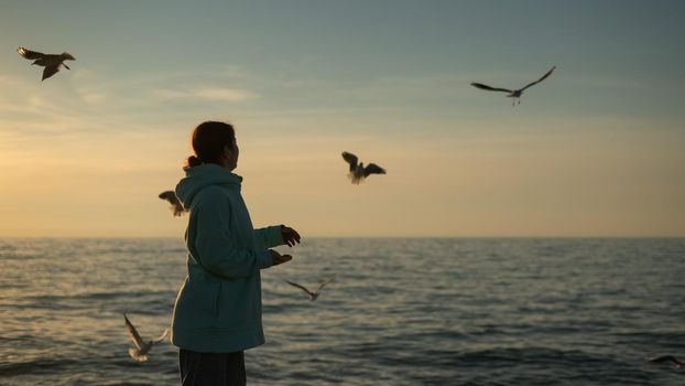 Caucasian woman feeding seagulls on the sea at sunset