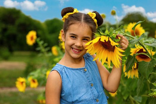 A happy little girl in a blue dress stands next to the flowers of a decorative sunflower, in the summer, in the park