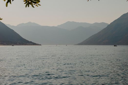 Sunset, beautiful landscape with silhouettes of trees. Travel concept. Montenegro, Kotor Bay. Sunset at Kotor Bay Montenegro. View of the sunset in Boko-Kotor Bay in Montenegro. Silhouettes of mountains. High quality photo