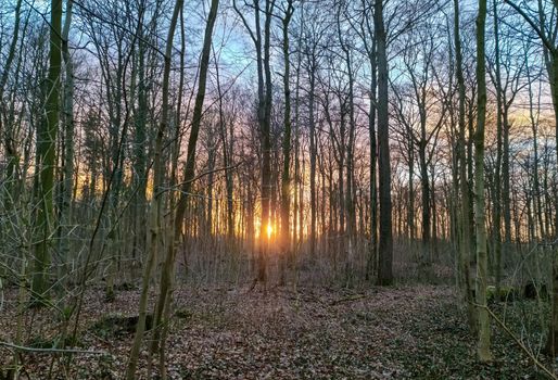 Beautiful and romantic sunset in stunning yellow and orange colors