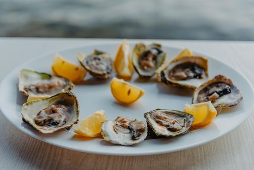 Fresh oysters with lime on a round plate. Oyster season. Macro-seafood dish. Oyster on the half shell.Two varieties of oysters.Out of focus. White plate of fresh oyster on ice and piece of lemon on wooden table