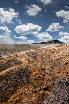 Yellowstone geothermal pools of bacteria cover the serface