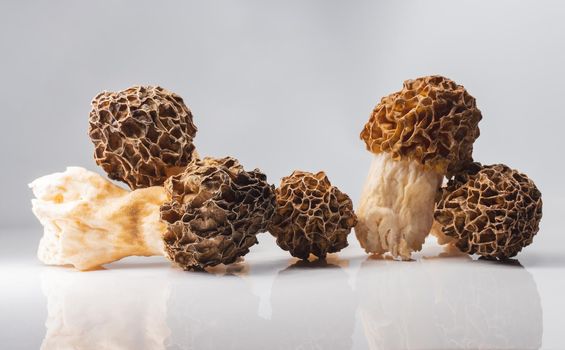 morels delicacy mushrooms on white background, tasty food