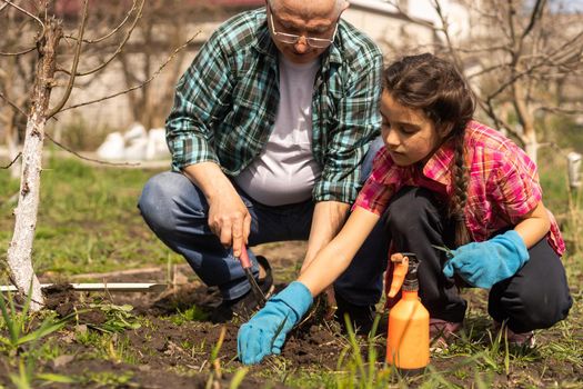 A small girl with grandfather outside in spring nature, having fun. gardening.