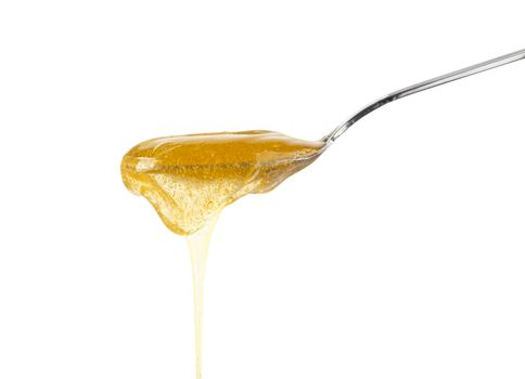 Close up fresh thick fluid acacia honey pouring and flowing from metal spoon isolated on white background with copy space, low angle side view