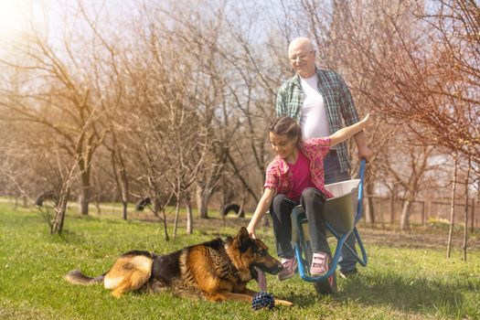 gardening, grandfather and granddaughter in the garden.