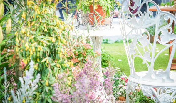 Garden wrapped in colorful flowers. Shooting Location: Yokohama-city kanagawa prefecture