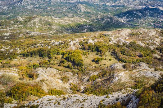 Summer mountain landscape at national park Lovcen, Montenegro. Sunny summer day.