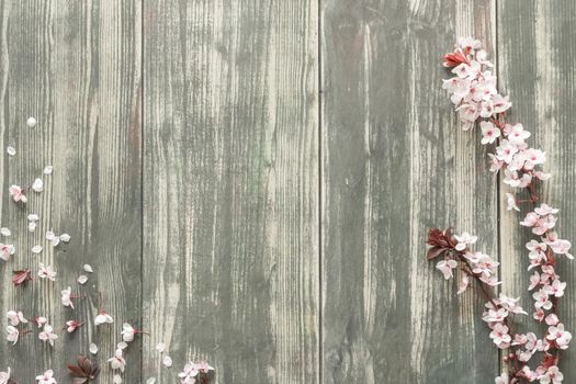 aged wood background with pink triangle flowers and petals in the lower left corner and two flower branches on the right of the composition