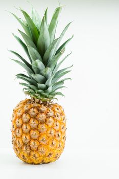 vertical shot of pineapple with white background with side illuminations