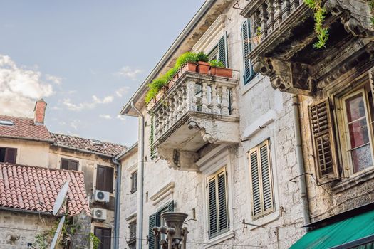 Colorful street in Old town of Kotor on a sunny day, Montenegro.