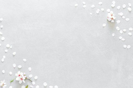 Composition of almond blossoms composed of two flowers and white petals in the upper right corner and white petals of almond blossom and a stem with two randomly scattered flowers in a triangle shape covering the lower left corner all on a gray background with texture and soft light with empty space on the diagonal of the image to edit