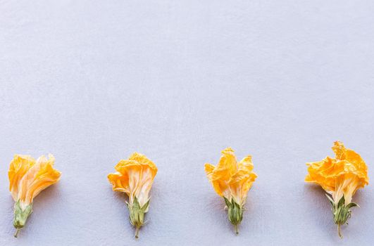 horizontal composition of four yellow dried flowers arranged in line at the bottom on a textured gray background with soft natural light