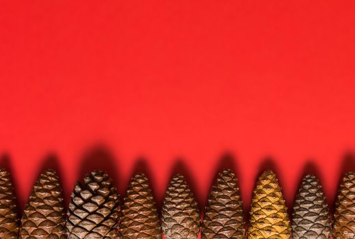 multi colored pine cones arranged in a row at the bottom of the image with soft shadow on red background with empty space for christmas design