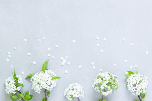 gray background with white petals randomly distributed with corsages of white flowers and green leaves at the bottom of the image in soft natural light