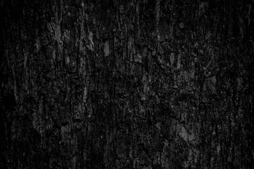 Black tree bark background Natural beautiful old tree bark texture According to the age of the tree with beautiful bark during the summer