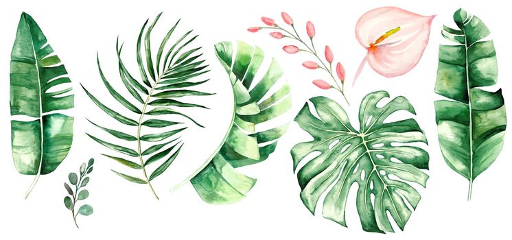 Watercolor tropical leaves and flowers. Botanical jungle illustration. Exotic. watercolor set