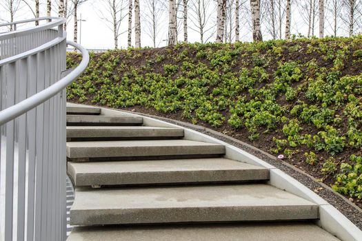 Tall modern winding staircase with railings in a birch grove