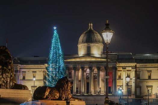 Night view of the National Gallery Museum of Art (UK London). Shooting Location: United Kingdom, London