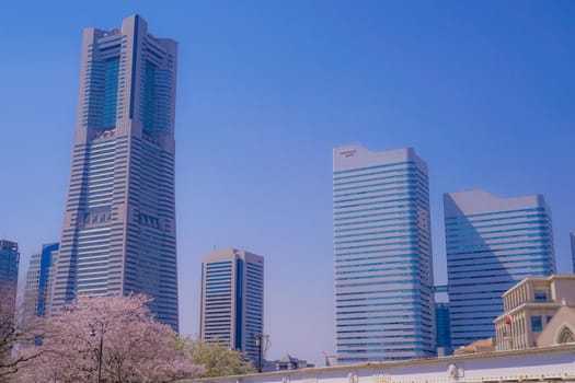 The city of full bloom and the city of Yokohama Minato Mirai. Shooting Location: Yokohama-city kanagawa prefecture