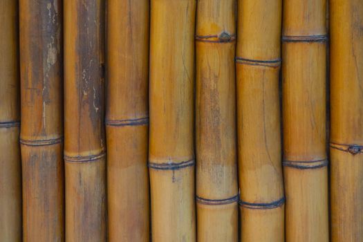 Yellow bamboo background. Close up wood texture