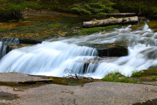 A small picturesque river flows in the forest in the mountains