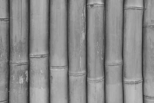 Grey wooden background. The texture of a bamboo fence