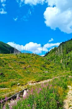 Mountain scenic view on a sunny spring day